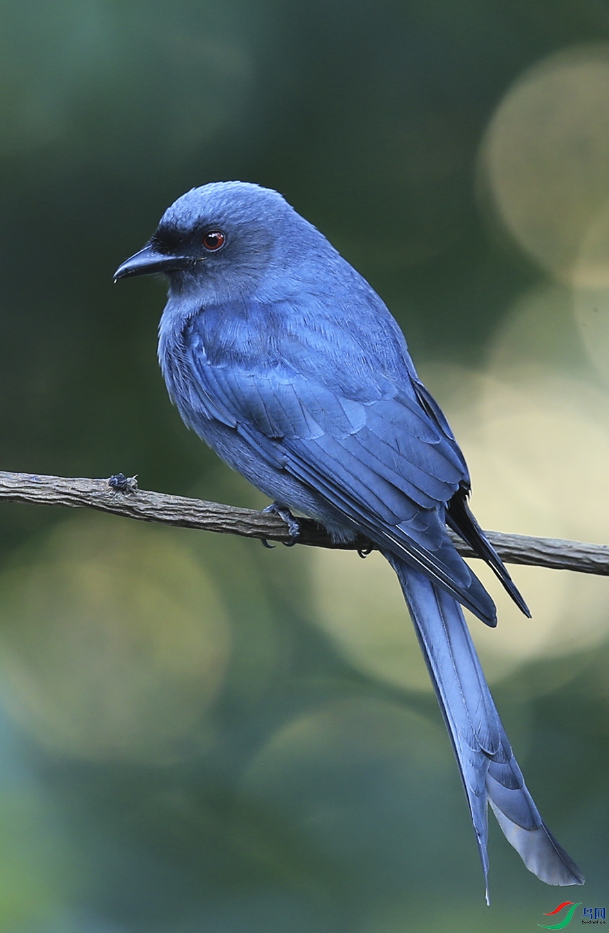 �ٻ��� (9)����.jpg