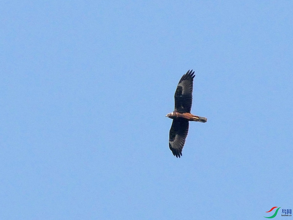 P7160766 - ����.JPG