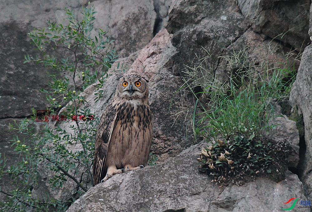 IMG_0059 - ����.jpg