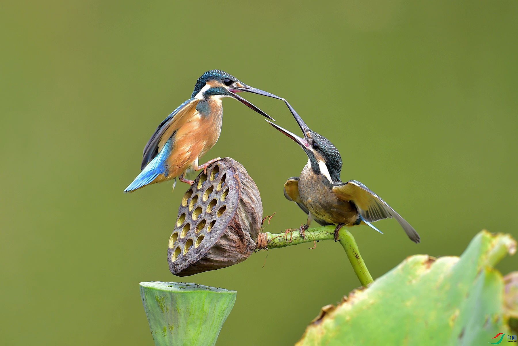 120210920192245 (7).jpg