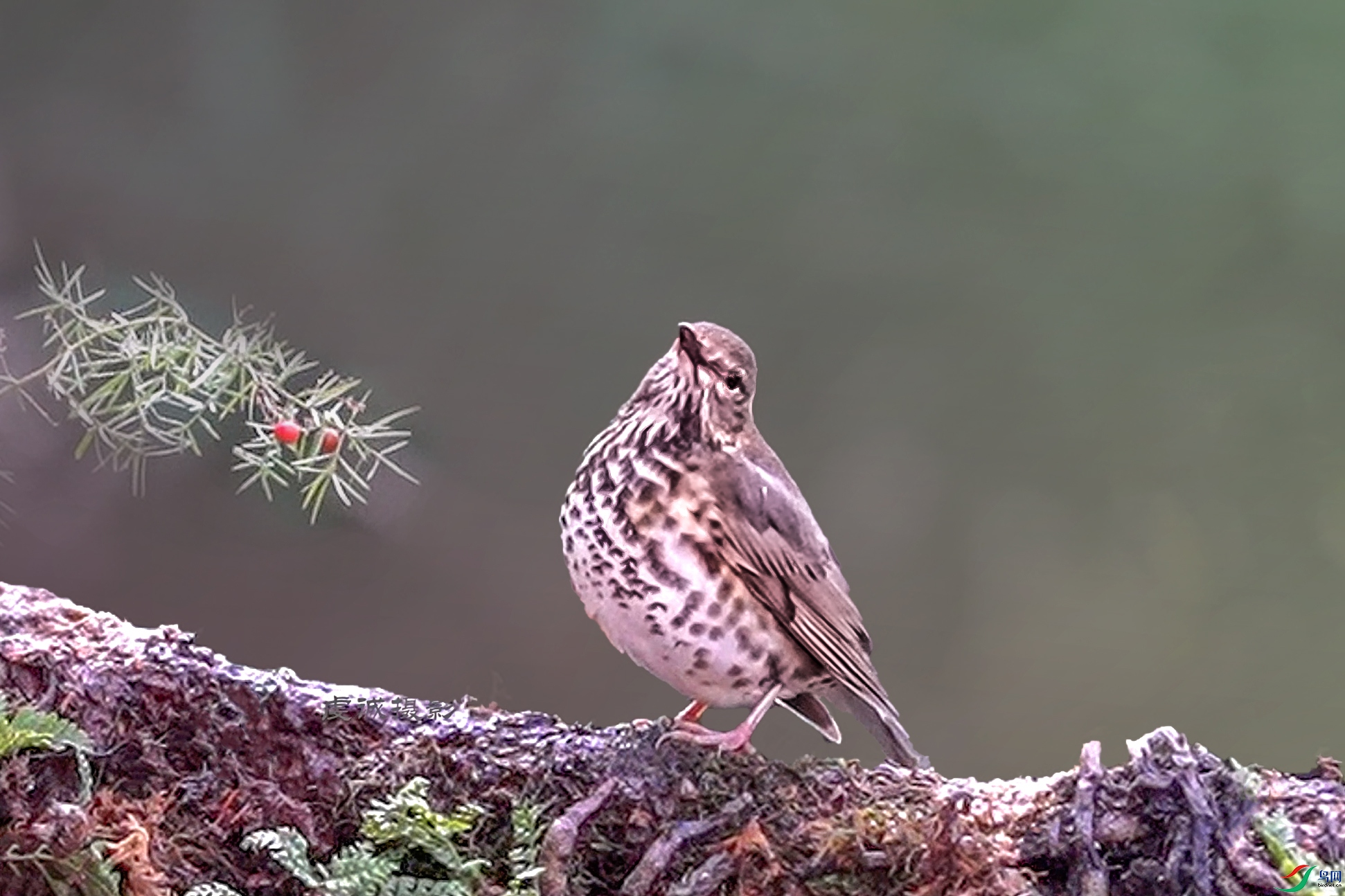 ŷ��𴡾 �պ������� ��.00_00_12_21.Still001b.jpg