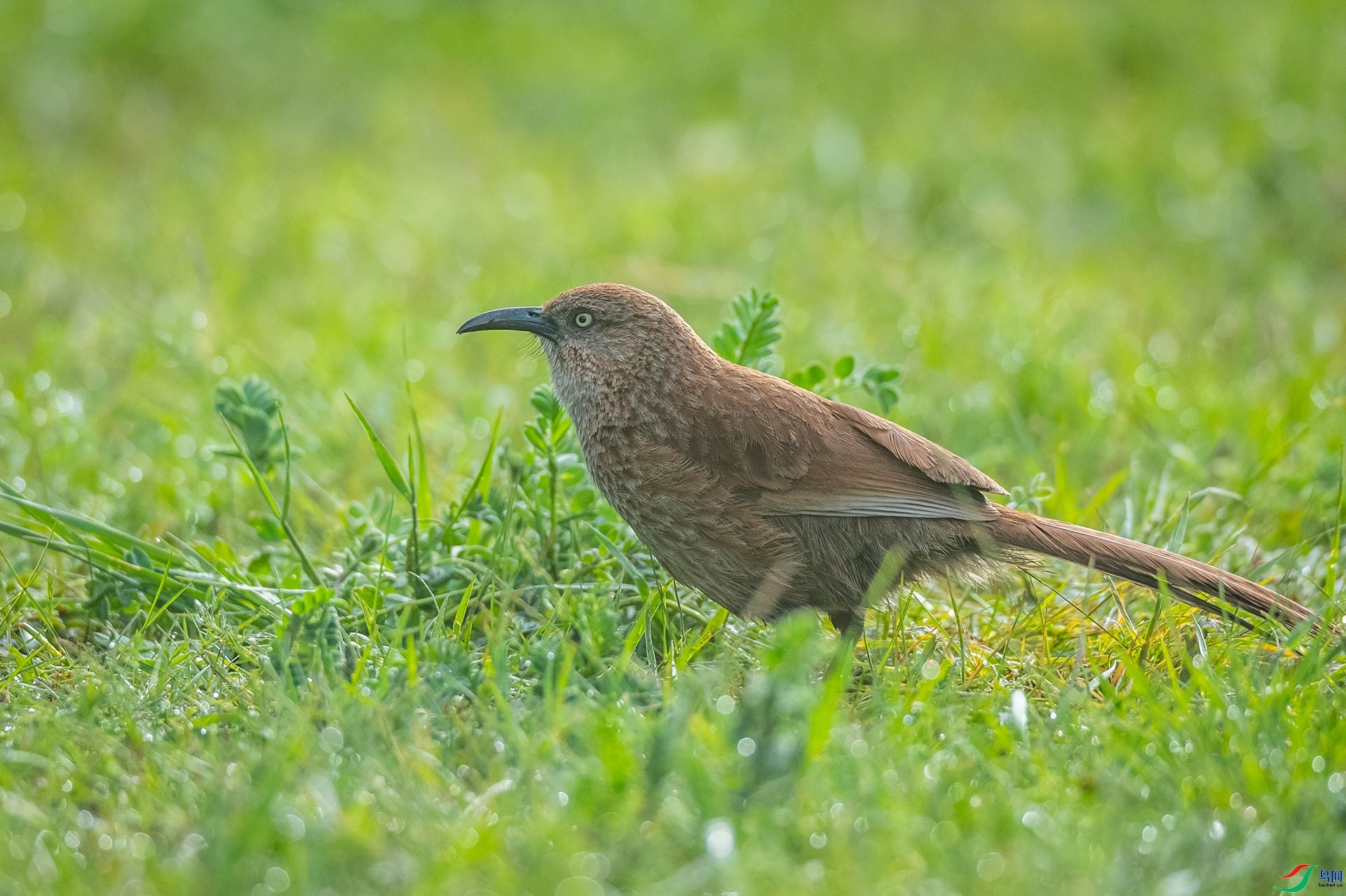 ϲ��  ��ʦ�������ຣʡ����������������ǫ��.jpeg