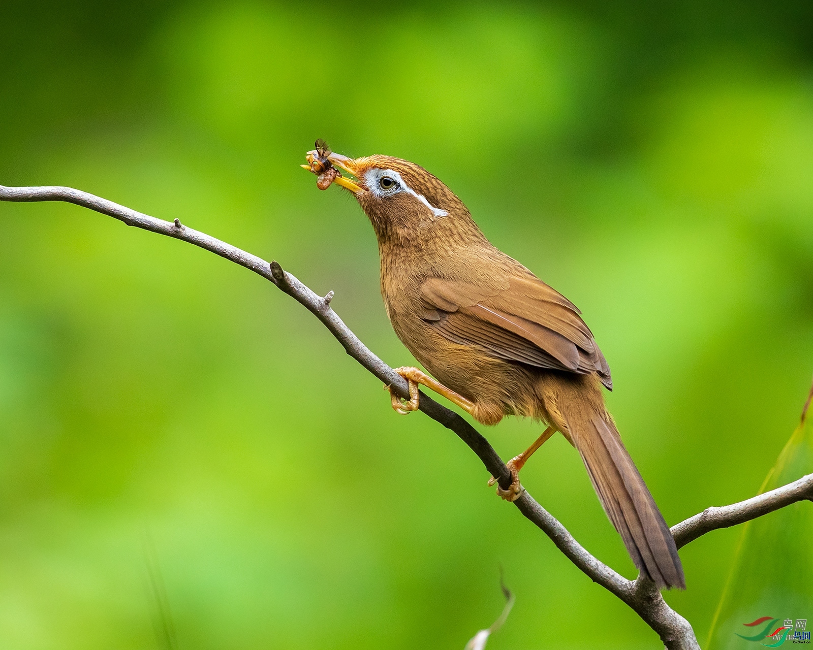 ����һ��  ��ʦ�����ں���ʡ��������ɽ��.jpg