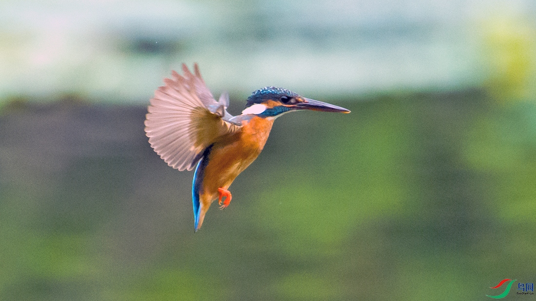 ��DSC_0057.jpg