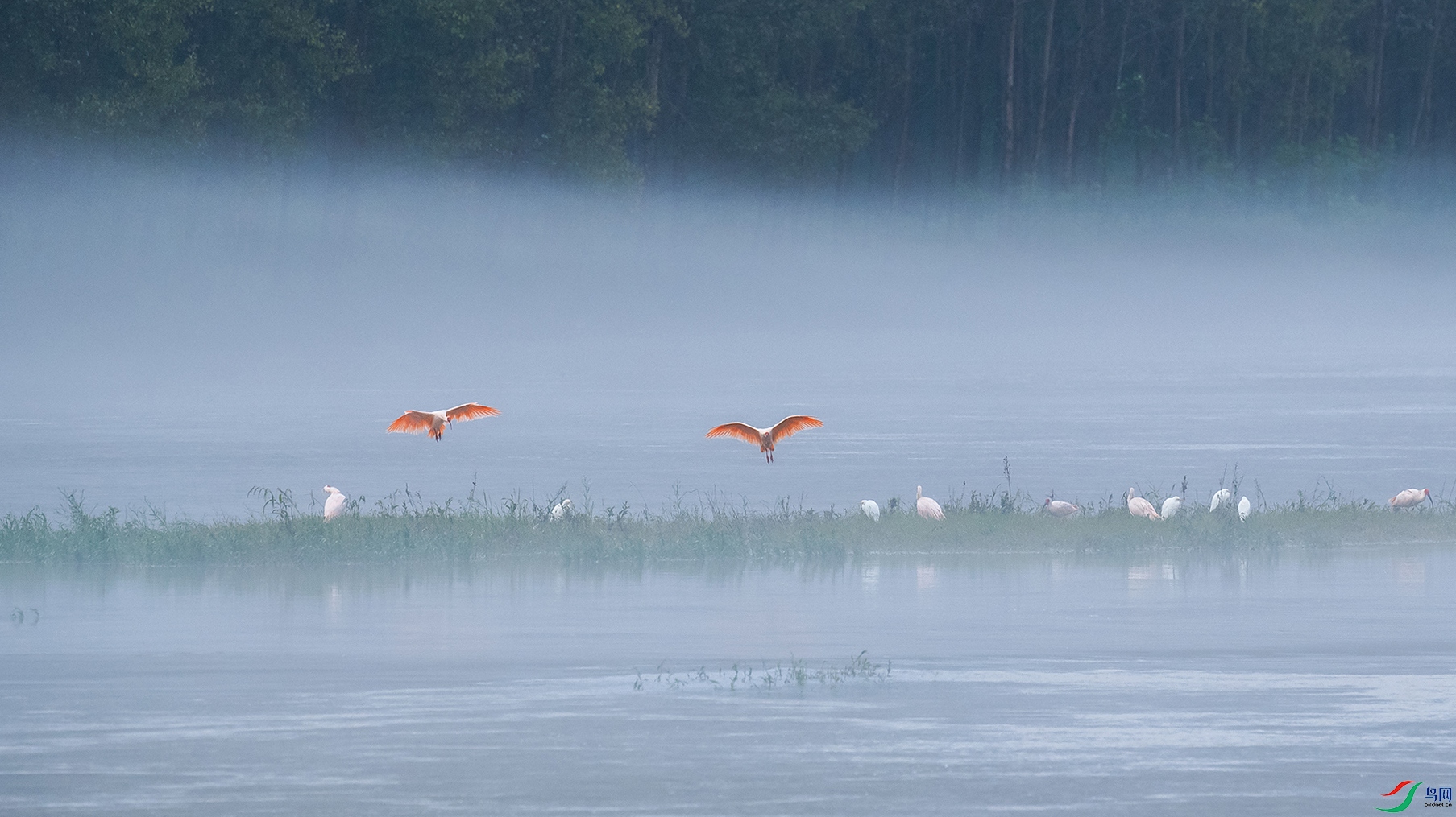 DSC_5786a.jpg
