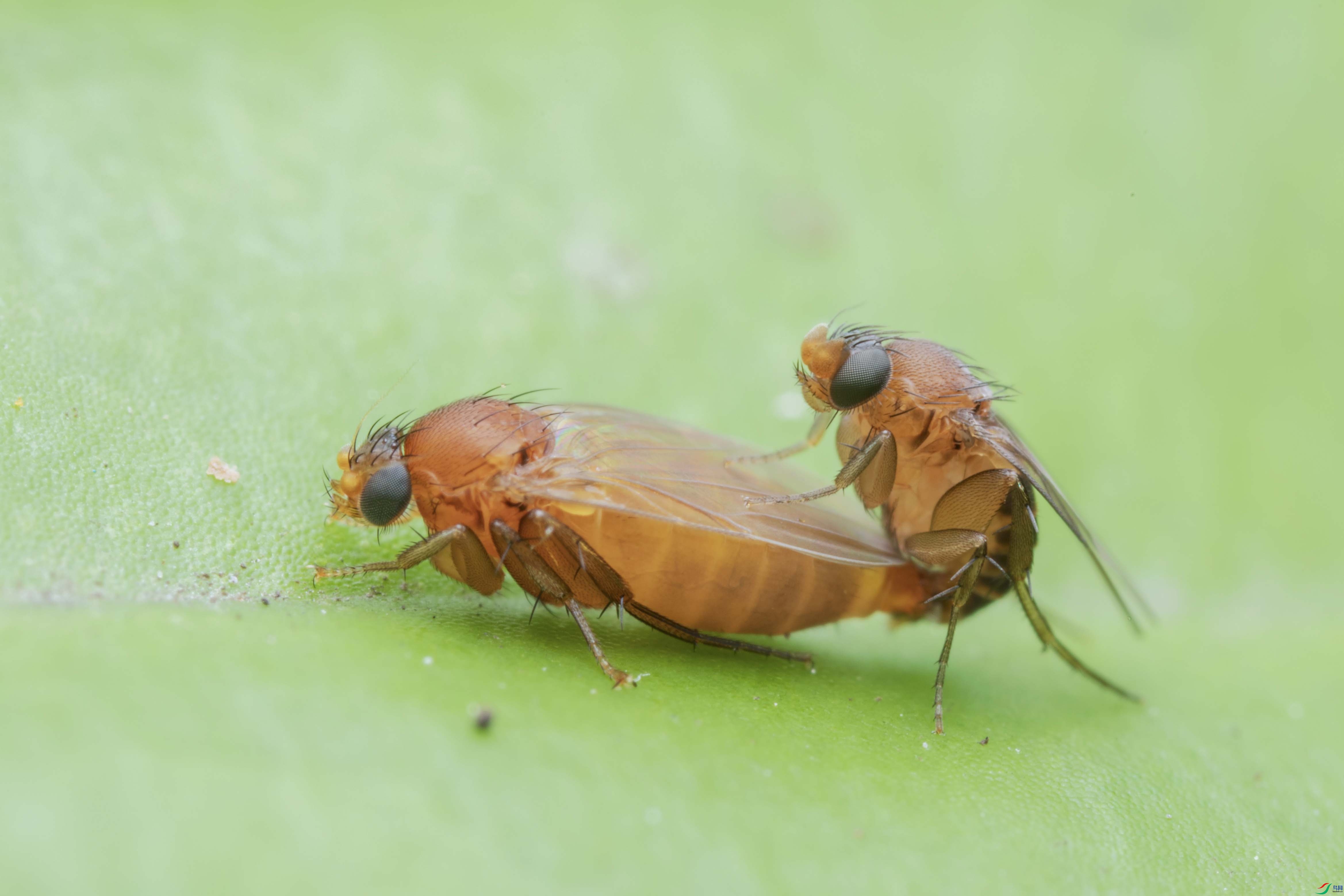 BQ3A9512-1.jpg