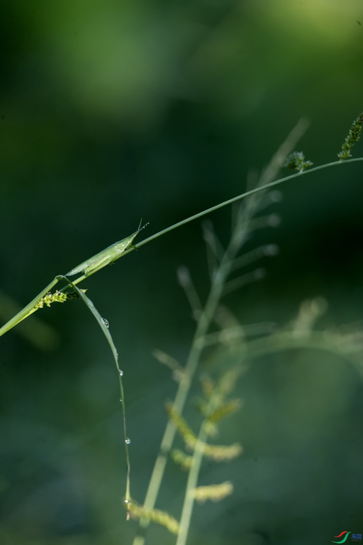 _68P0086.jpg