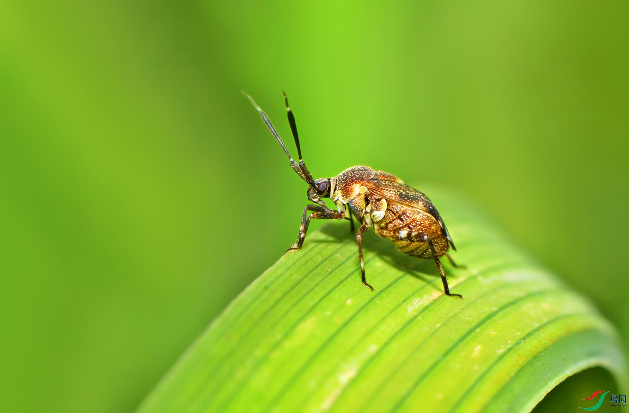 DSC_1496 �������� ����.jpg