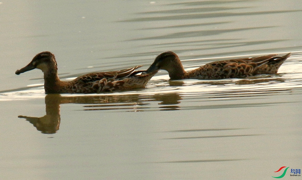 4B3A6800.JPG