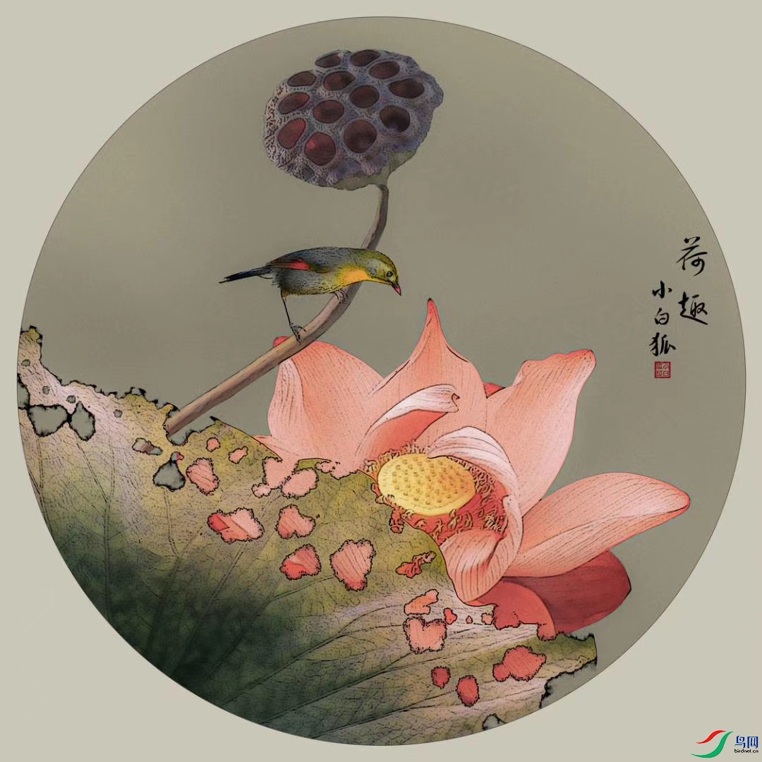 �к������