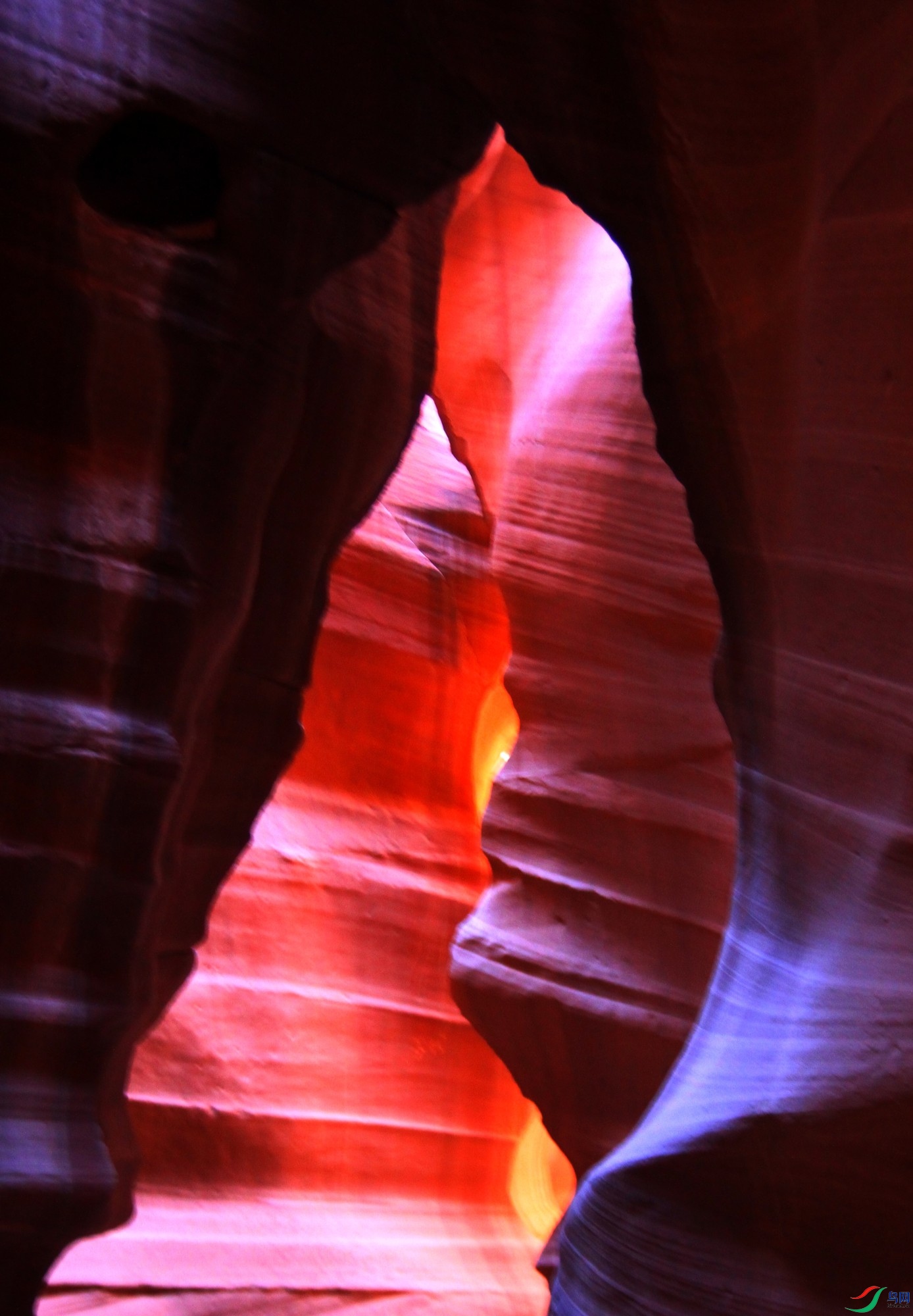 IMG_7080z_1.JPG