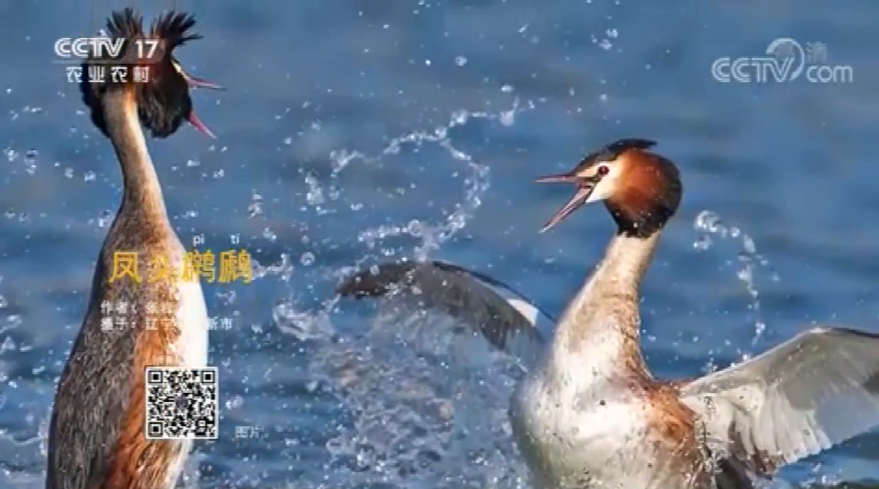 20201220 - ��С.png