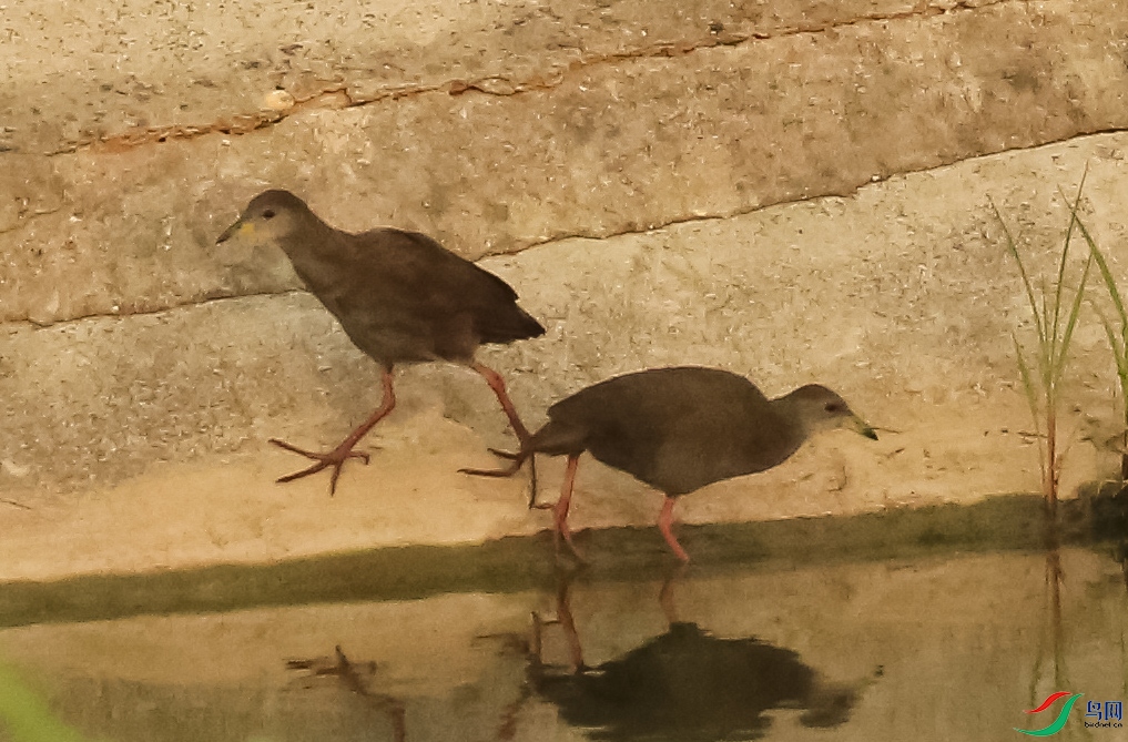 �Ͼ� (2)����.jpg