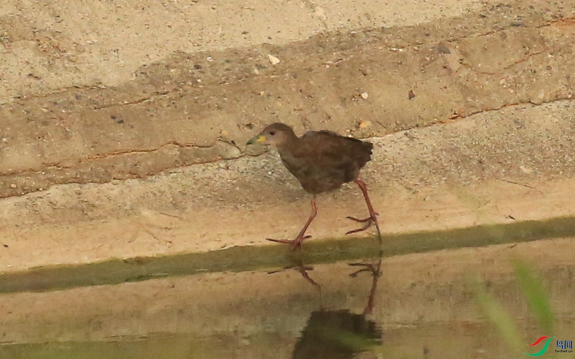 �Ͼ� (6)����.jpg