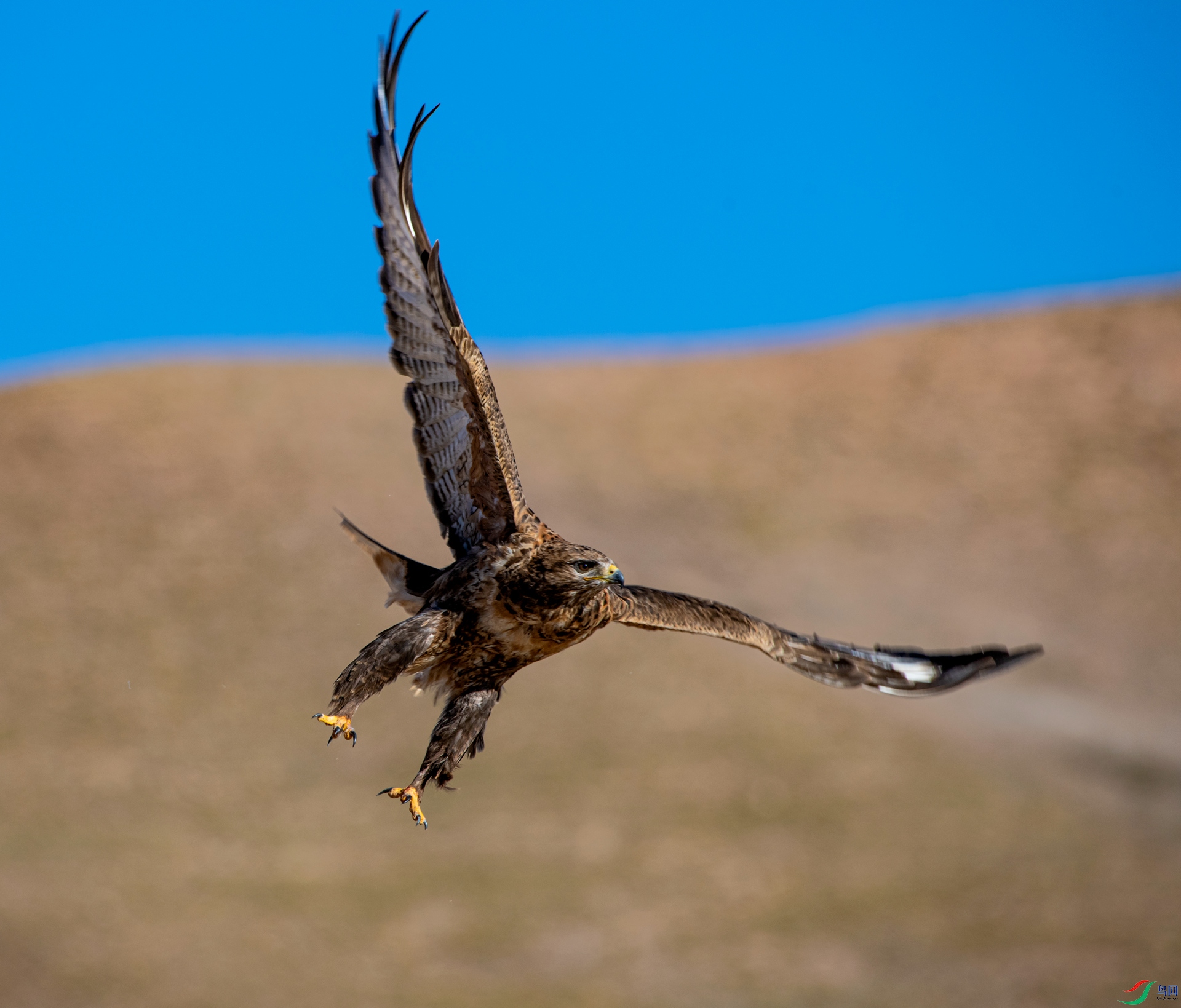 _DSC4786_����.jpg