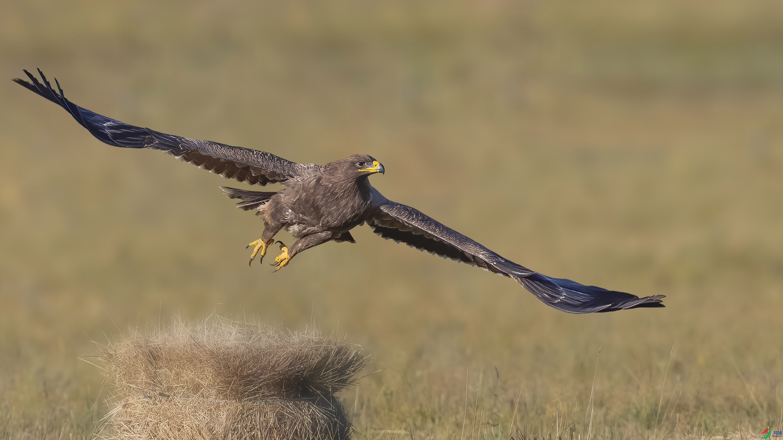 A95I4627 ���� 2.jpg