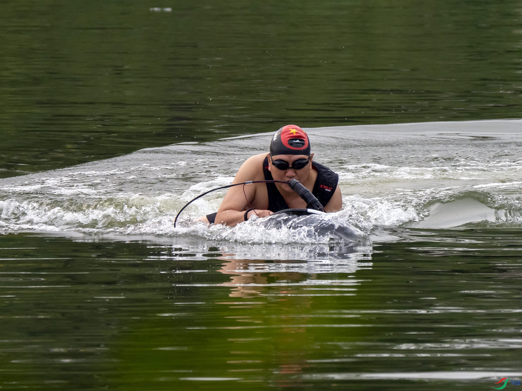 ��������