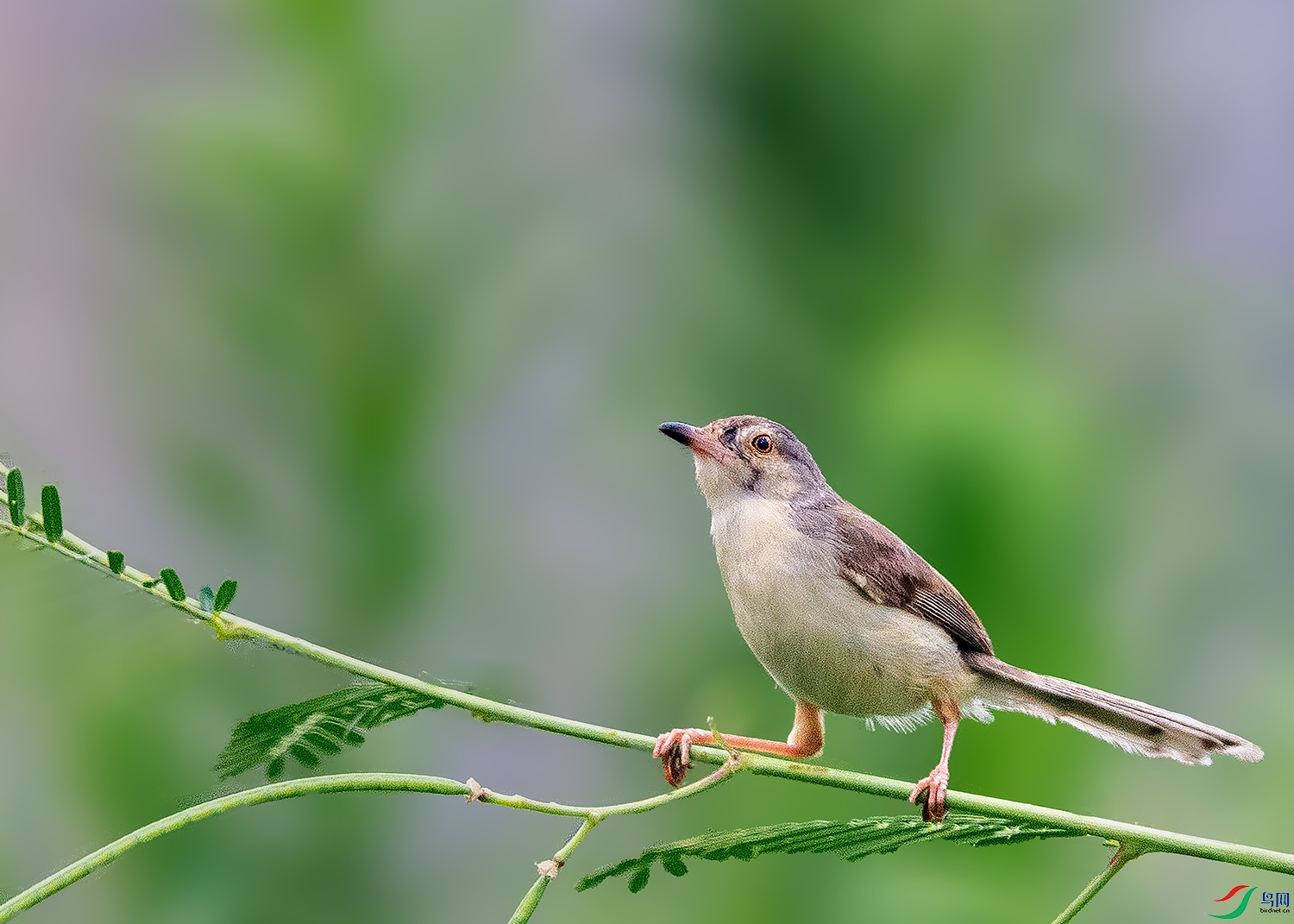 DSC_3369-2.jpg