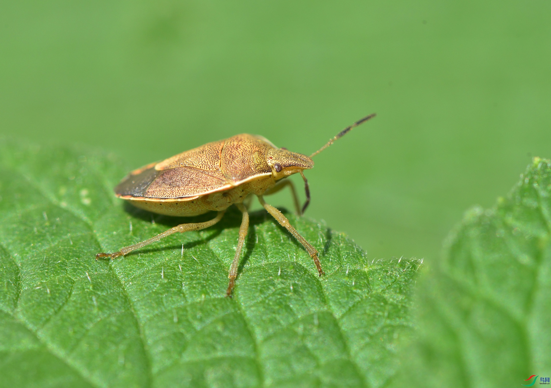 ������Ӱ 2464����.jpg