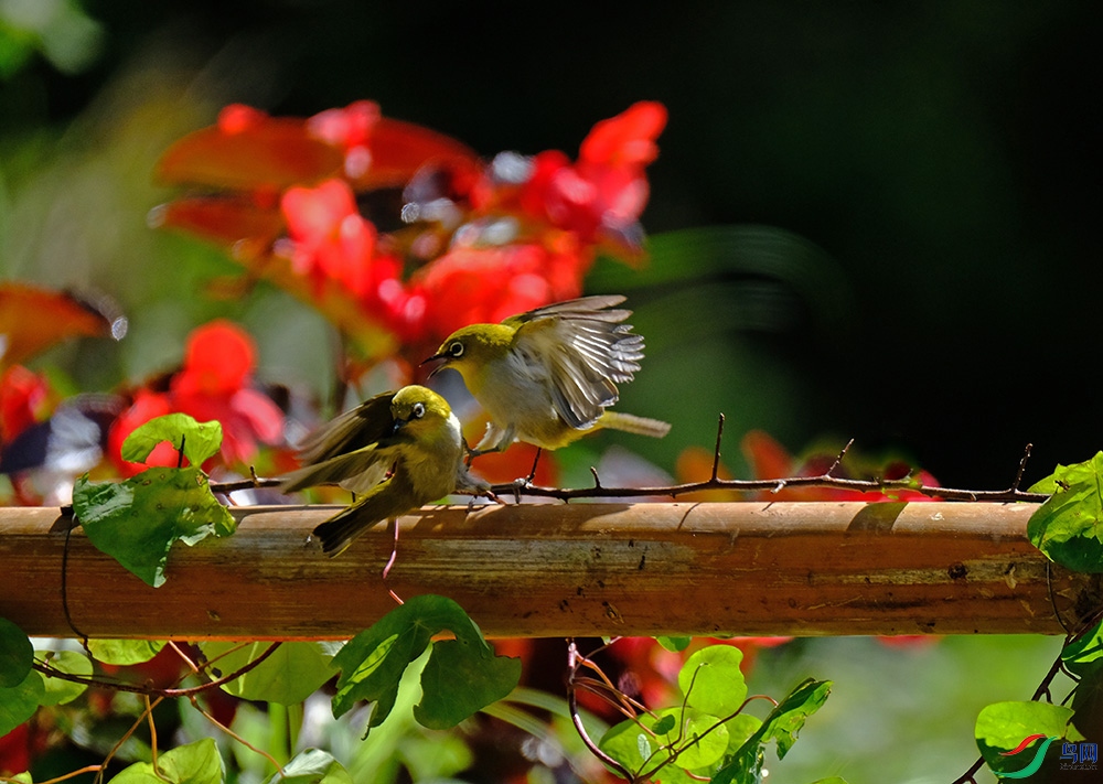 DSCF9165.JPG