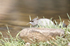 _C5R3456_���� - ����.jpg