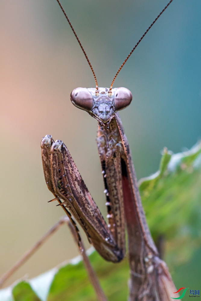 _H8A3679_2.jpg
