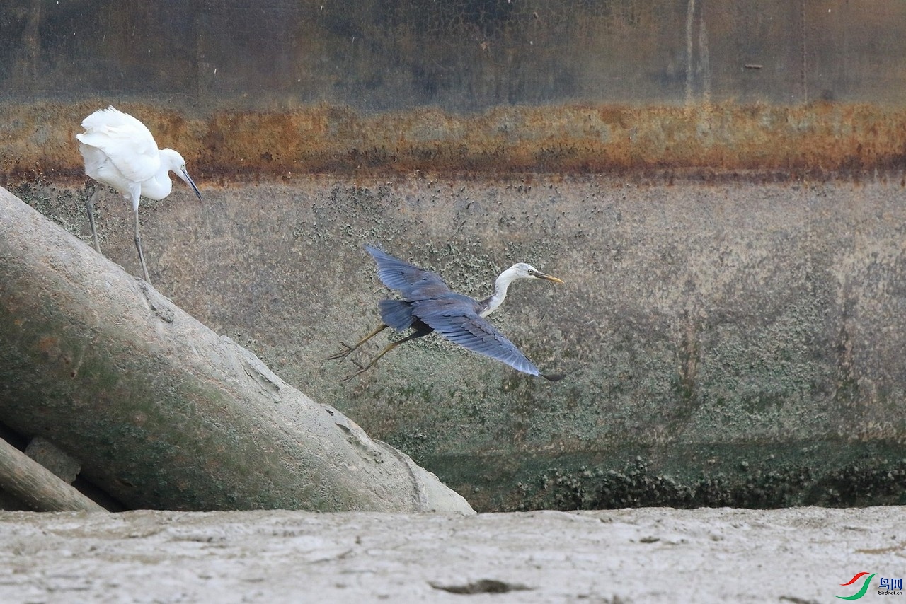 ���� 0F4A1820.jpg