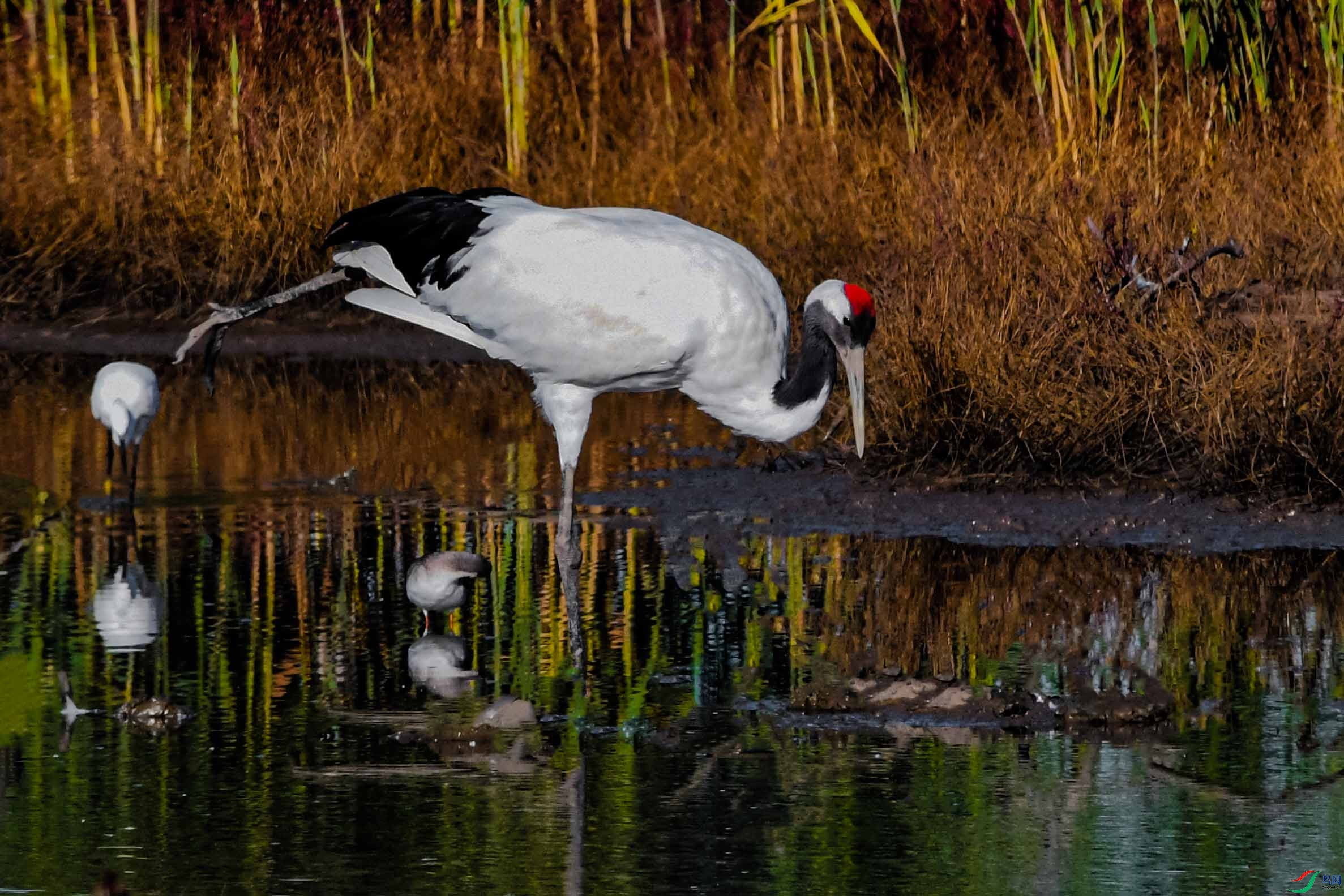 ��������