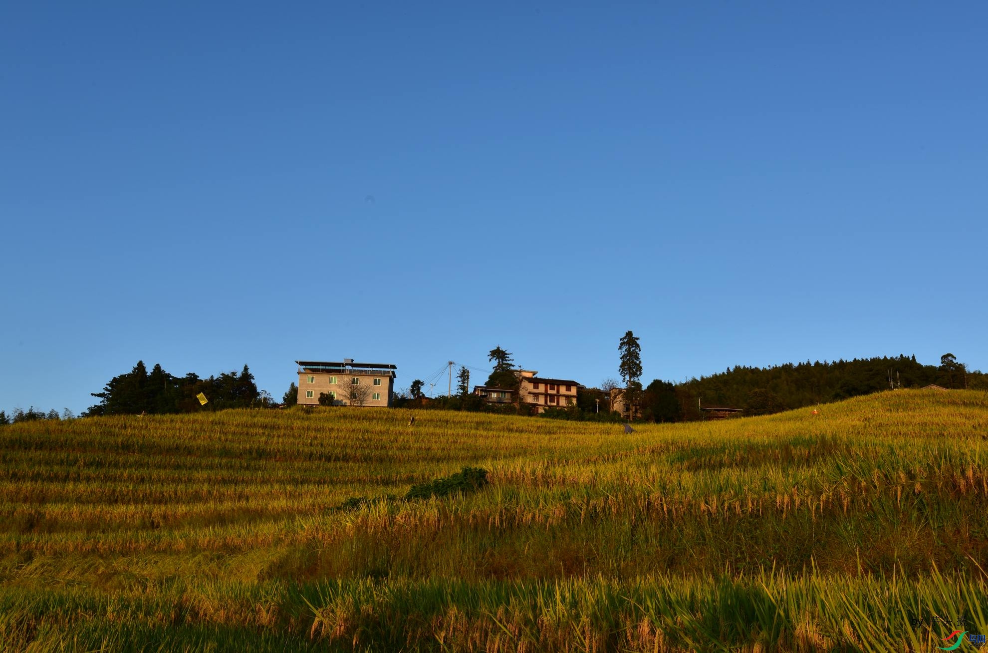 D8I_6192.jpg