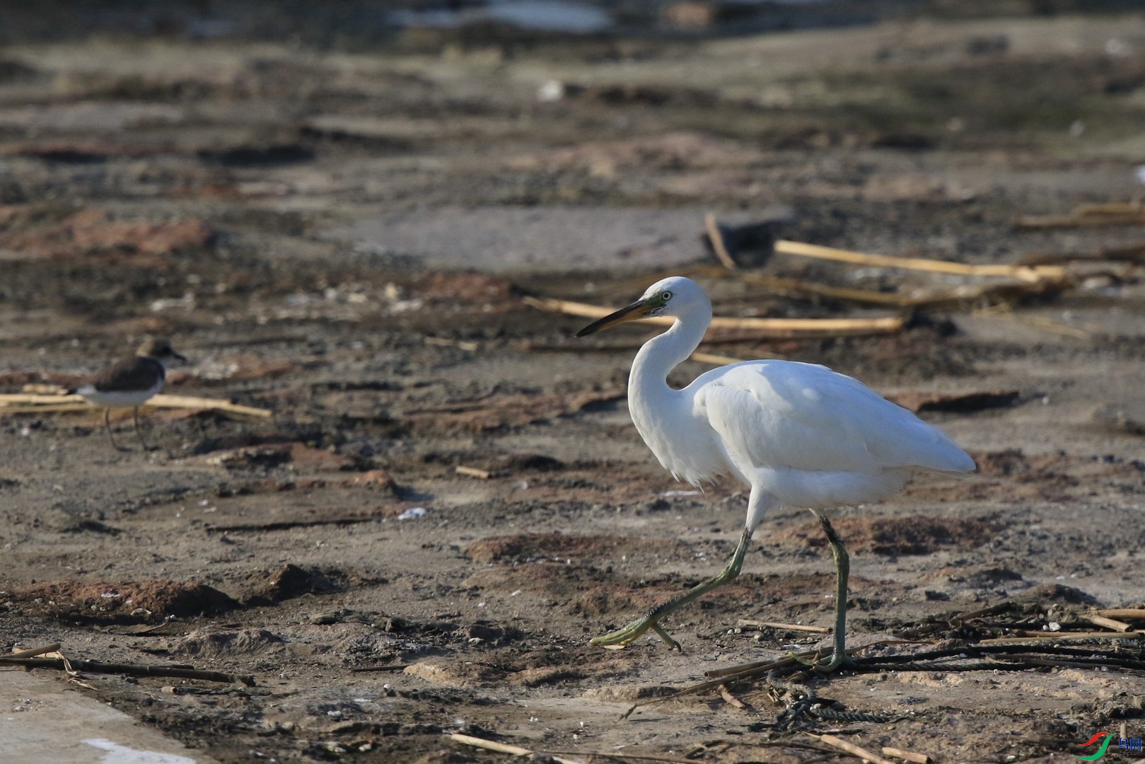 ʲô�� 0F4A1362.jpg