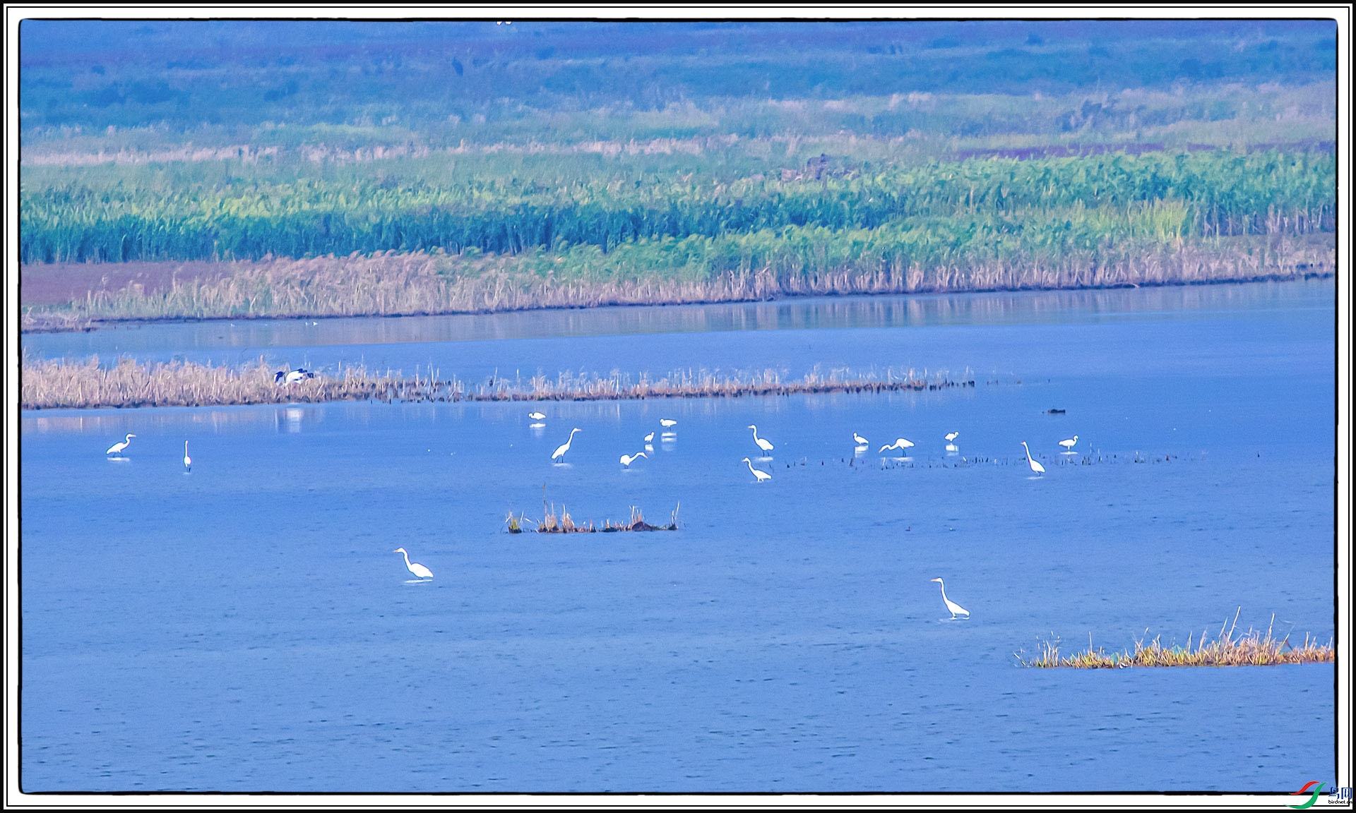 IMG_5027.jpg