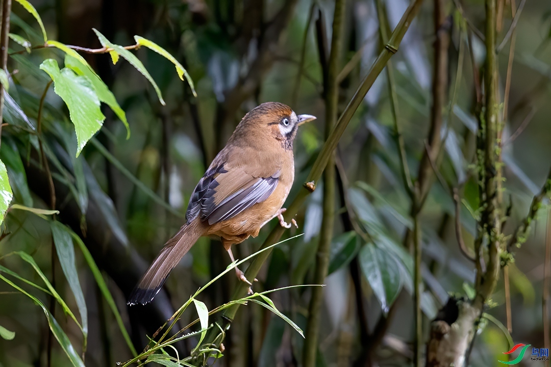 ��������  ��ʦ����.jpg