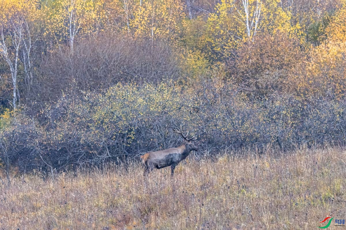 274A4899 ����.jpeg