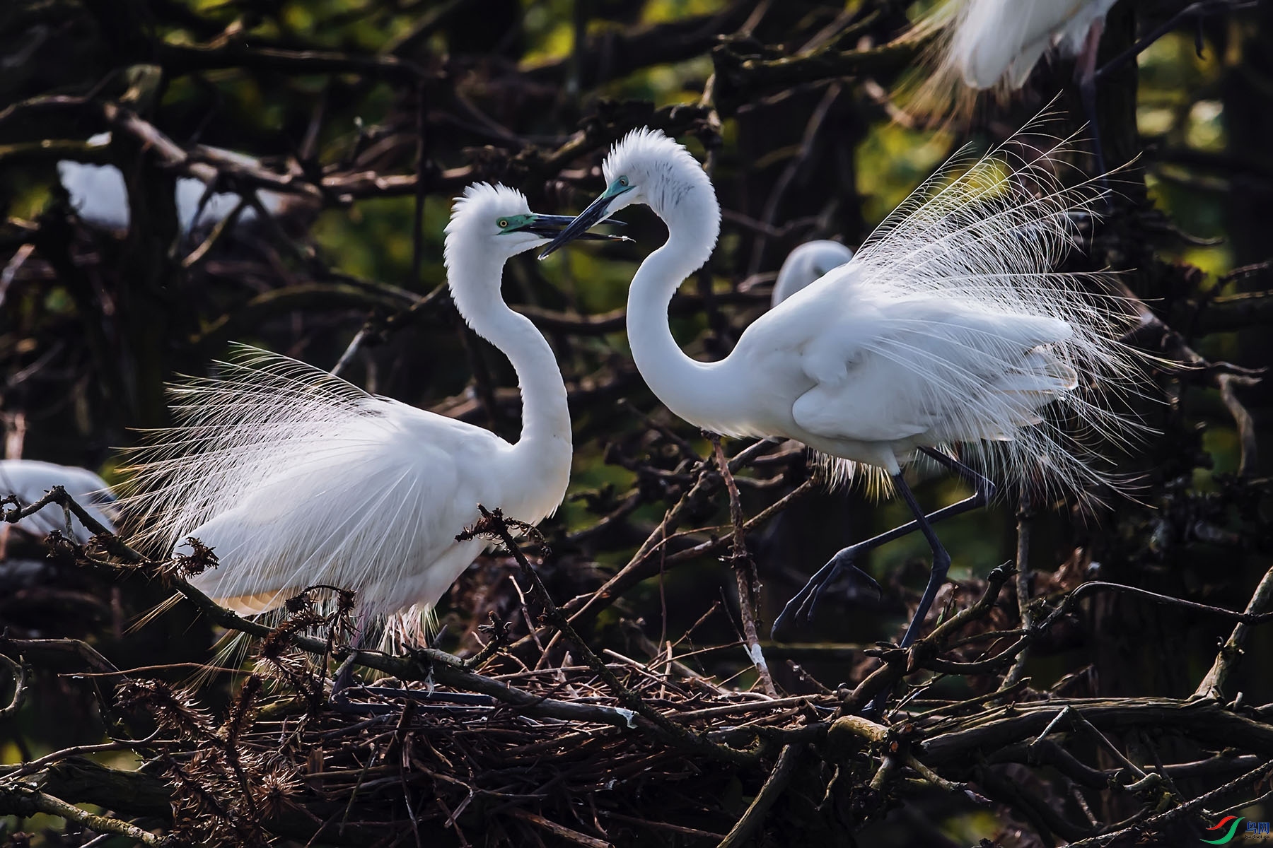 ��������