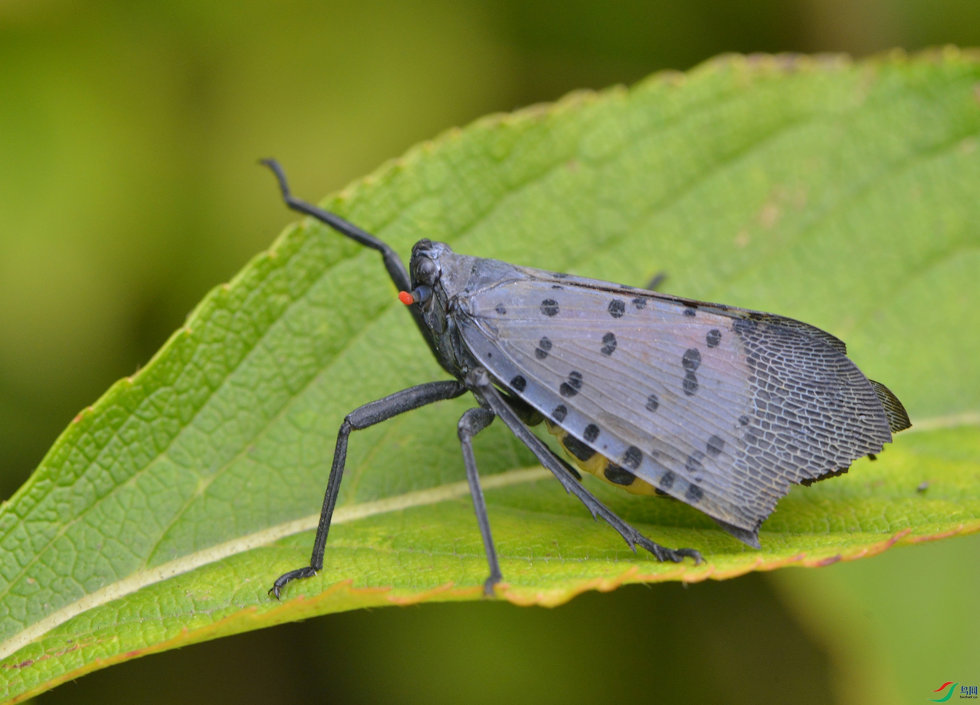 ������Ӱ 3411����.jpg