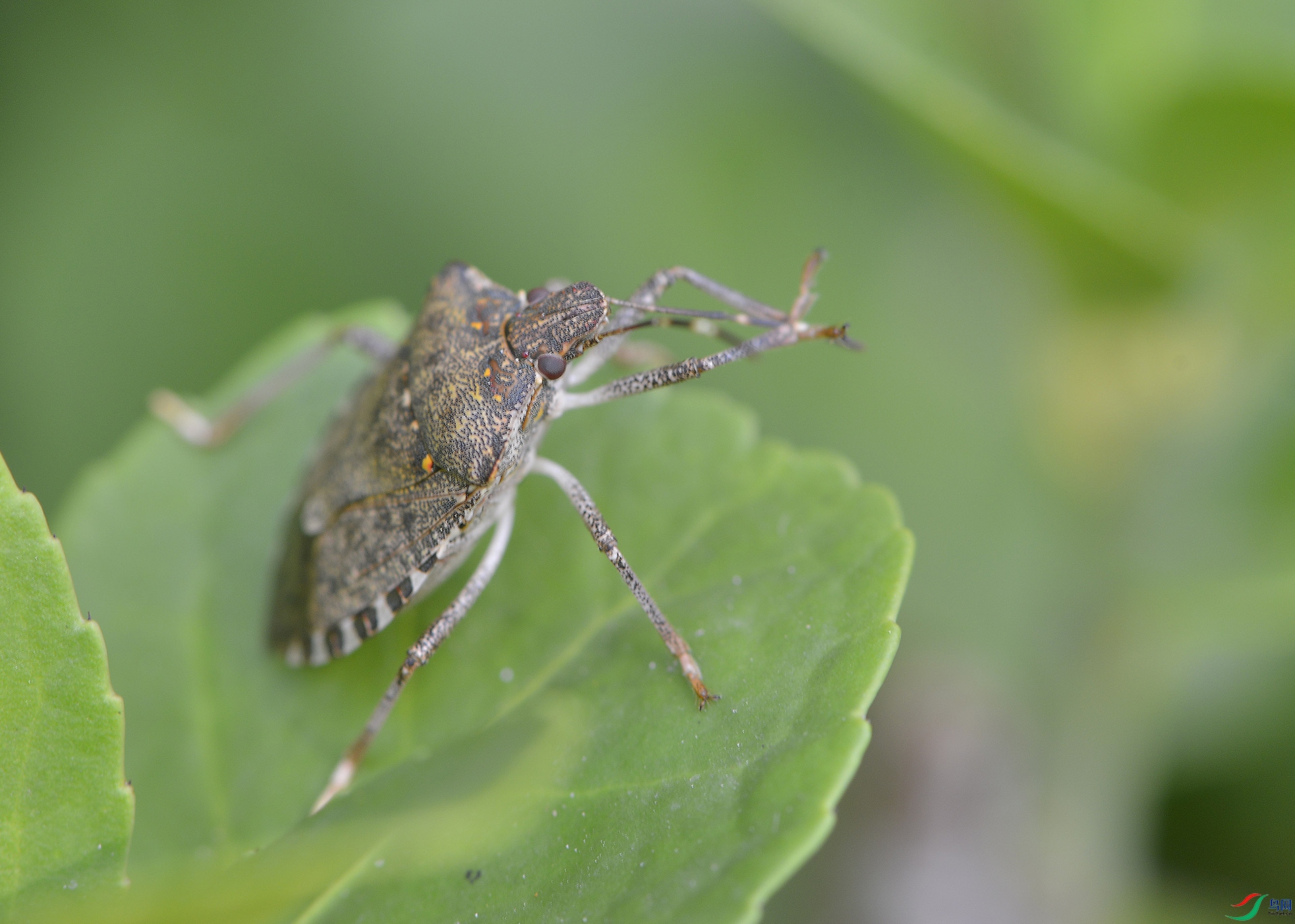 ������Ӱ 3262����.jpg