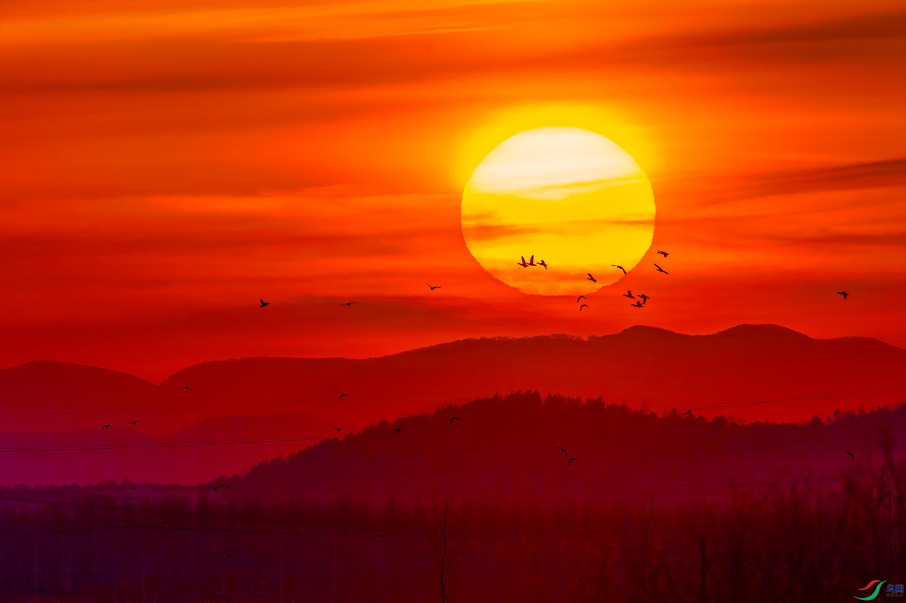 _L109721.jpg