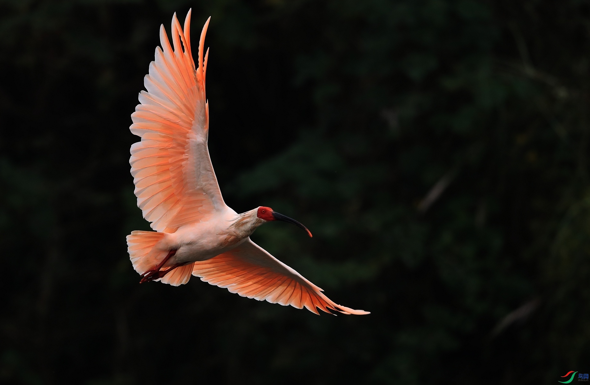 AI0I0666 - ����.JPG