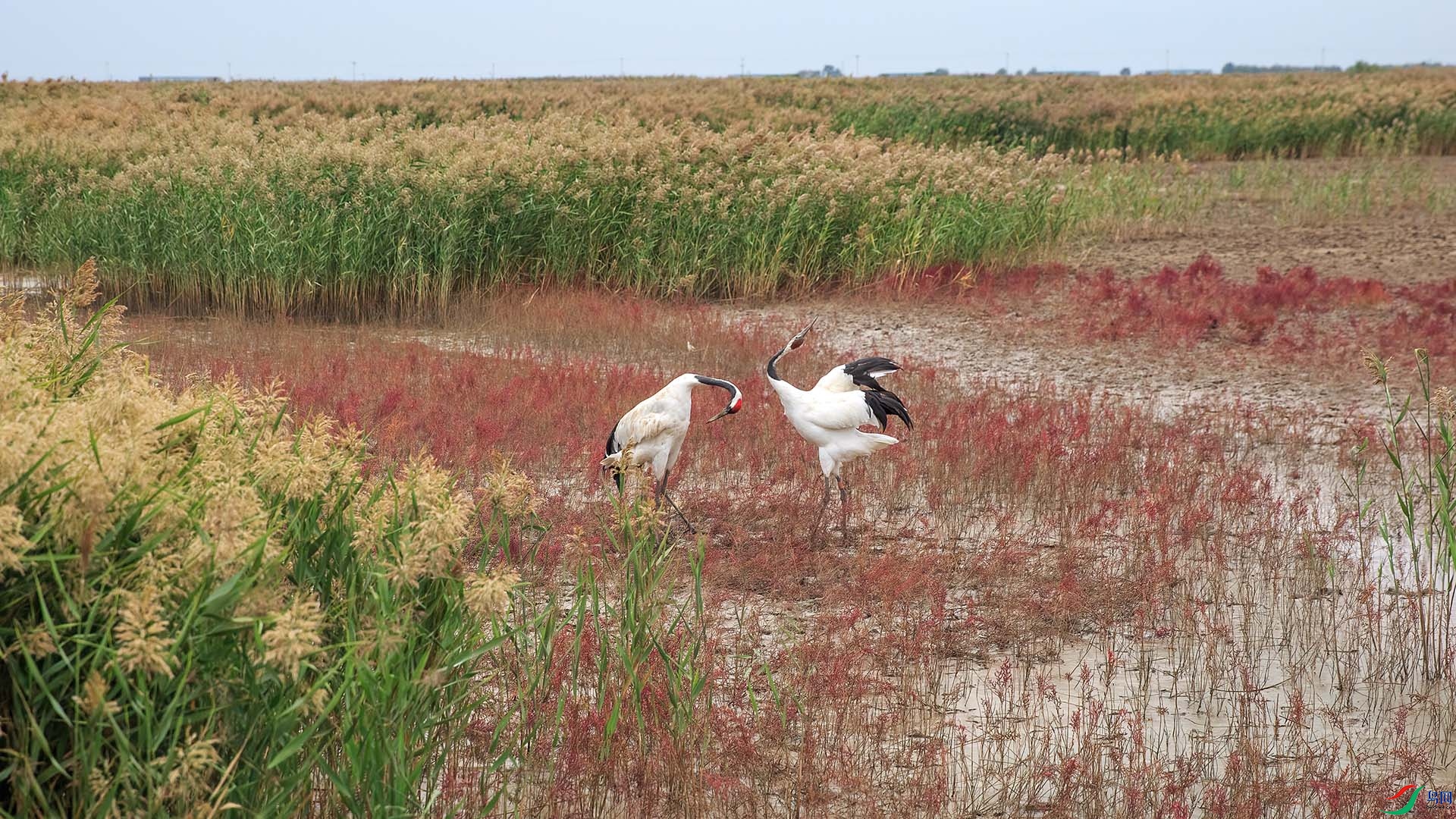 5D3_0214 ����.jpg