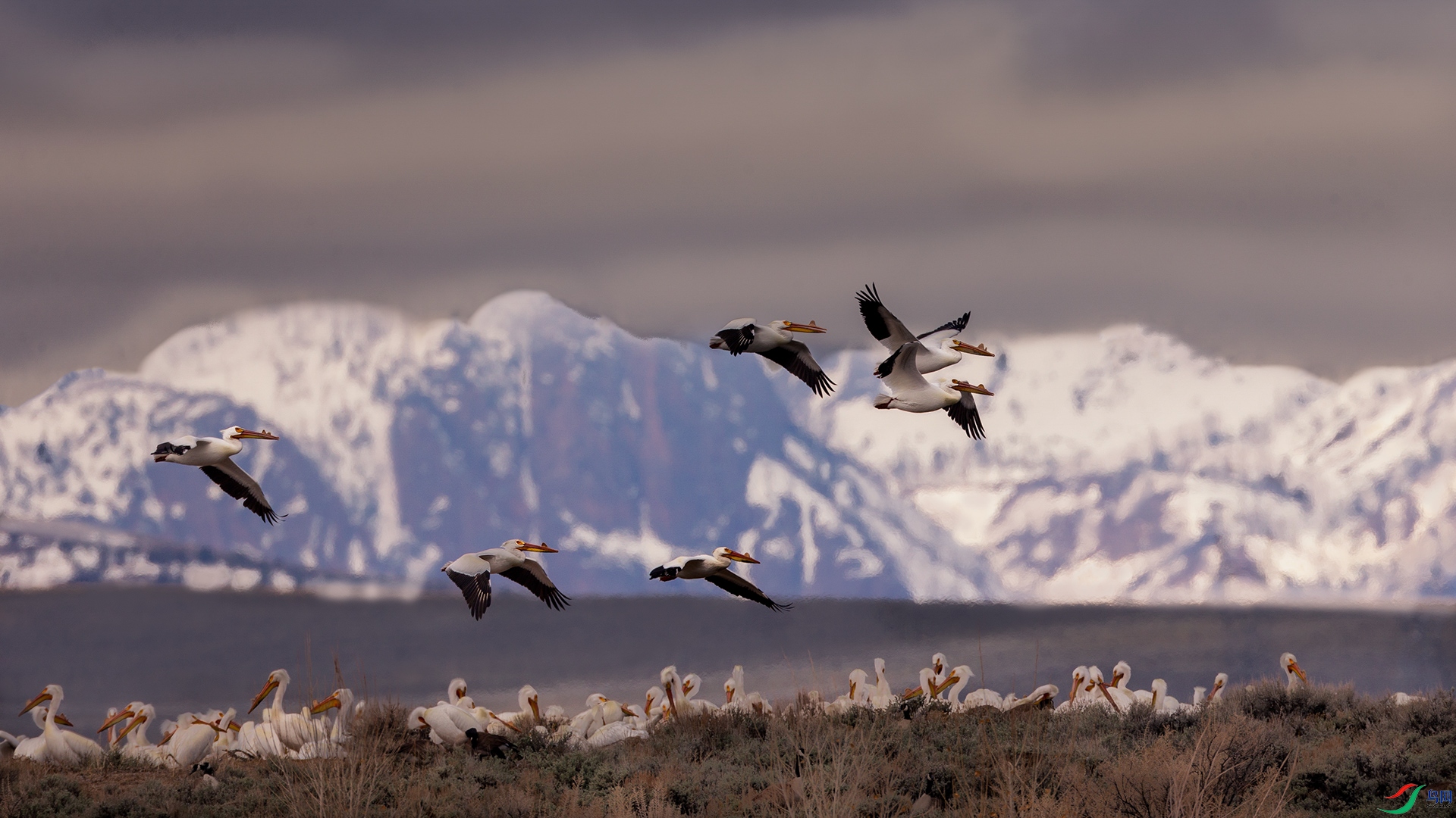 _C0R0773-1-1.jpg
