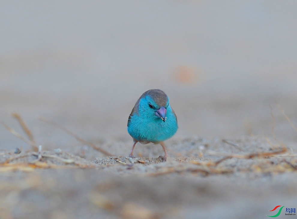 DSC_3468.jpg