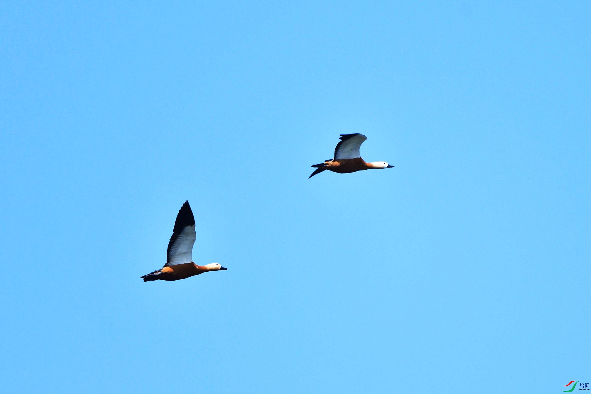 DSC_3399.jpg