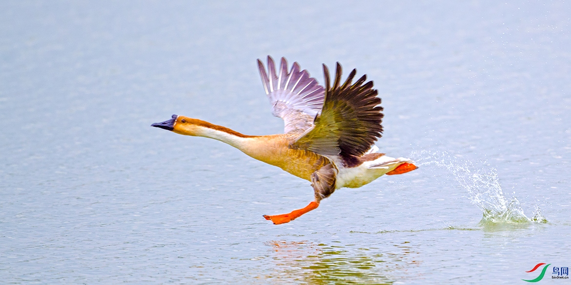 ��LPY_3095.jpg