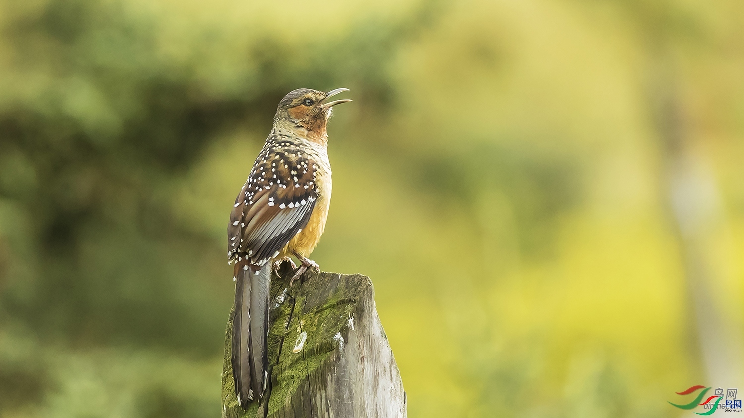 ����  ��ʦ����������ʡ�º���徰����������ӯ����.jpg