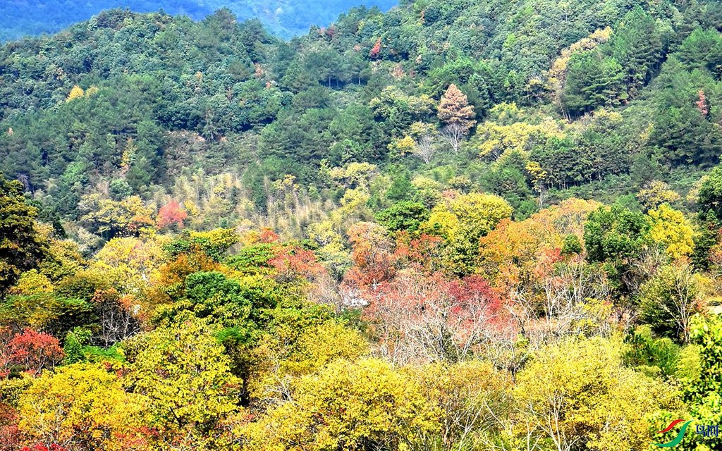 853 (71)_����.jpg