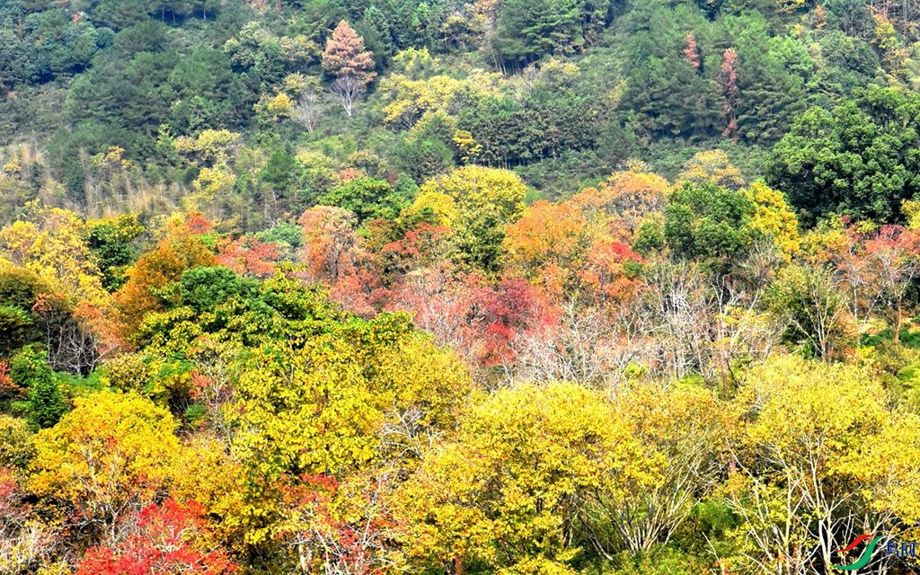 853 (72)_����.jpg