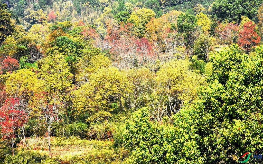 853 (74)_����.jpg