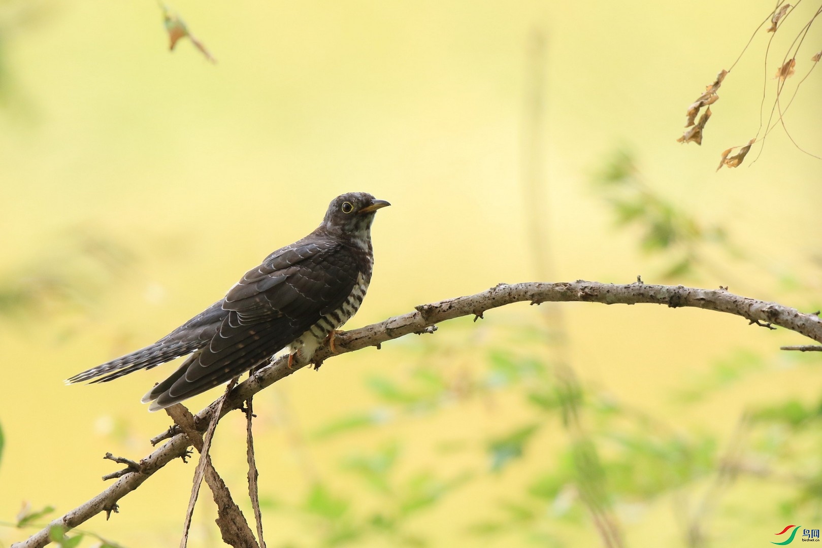 �ž� 2 0F4A1690.jpg