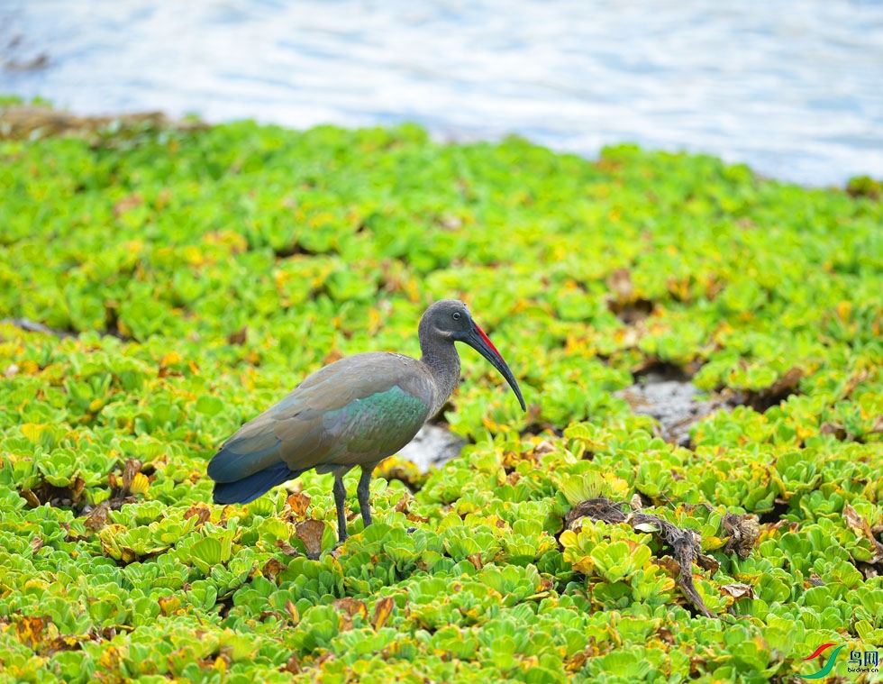 DSC_4424.jpg