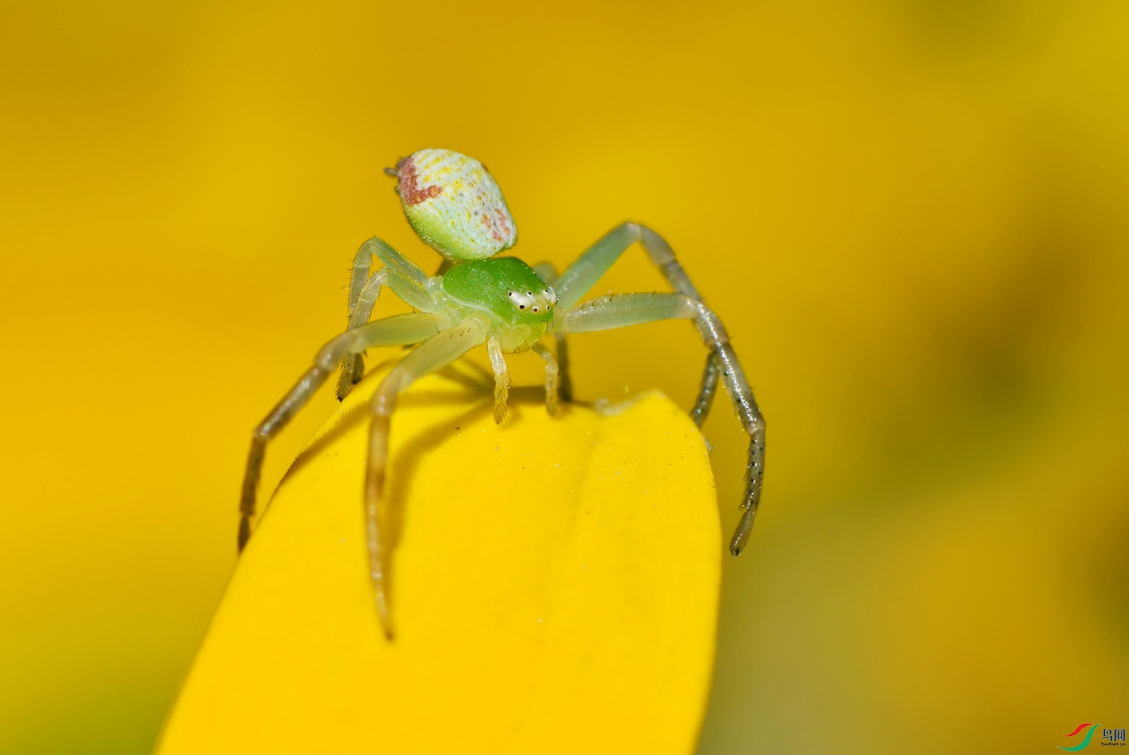 DSC_7703.JPG